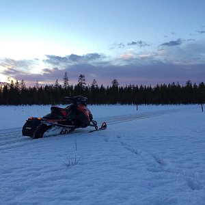 Kelkkailua Rovaniemi-Ranua reitillä